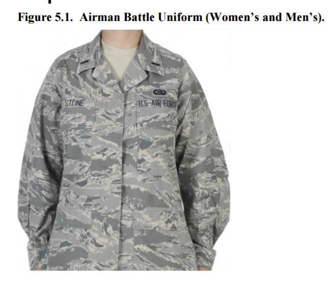 Air Force Abzeichen Leasing the Charge für die BDU Uniform 